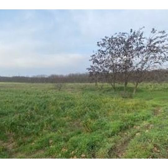  Annonces ROMANS : Terrain | VALENCE (26000) | 0 m2 | 112 000 &euro; 