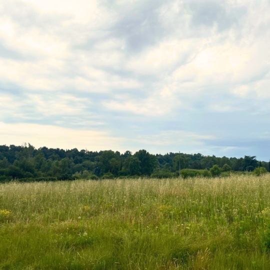  Annonces ROMANS : Terrain | ROMANS-SUR-ISERE (26100) | 0 m2 | 95 000 € 
