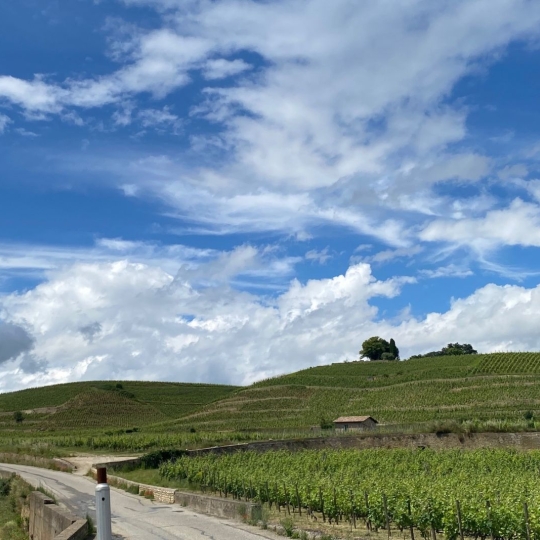 Annonces ROMANS : Terrain | LARNAGE (26600) | m2 | 93 500 € 