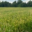 Annonces ROMANS : Terrain | CHATUZANGE-LE-GOUBET (26300) | 0 m2 | 116 500 € 