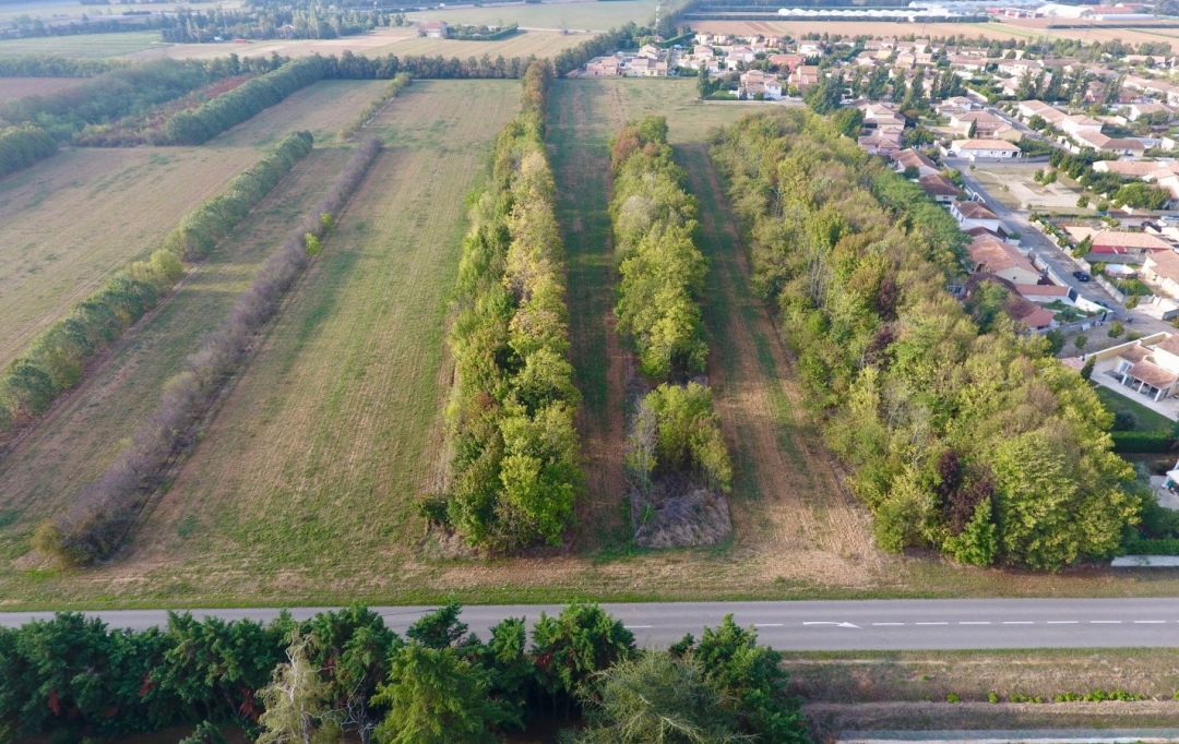 Annonces ROMANS : Terrain | VALENCE (26000) | 0 m2 | 112 000 &euro; 