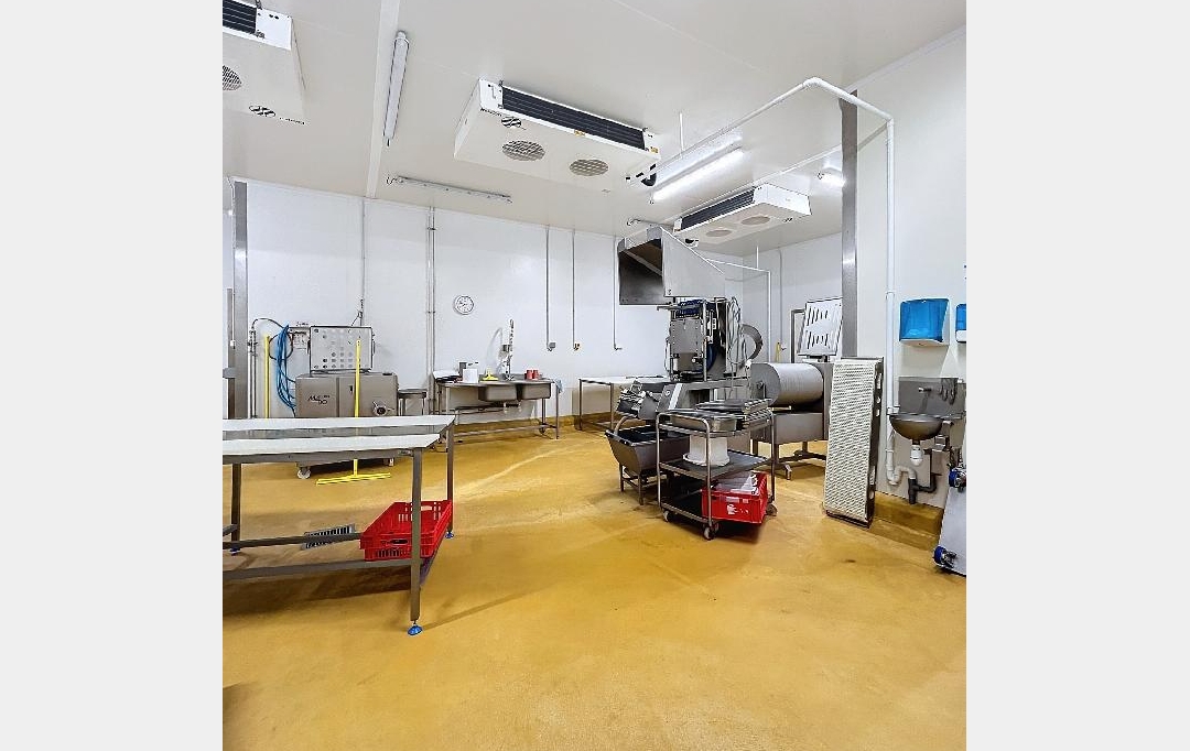 Annonces ROMANS : Local / Bureau | CHABEUIL (26120) | 483 m2 | 760 000 € 