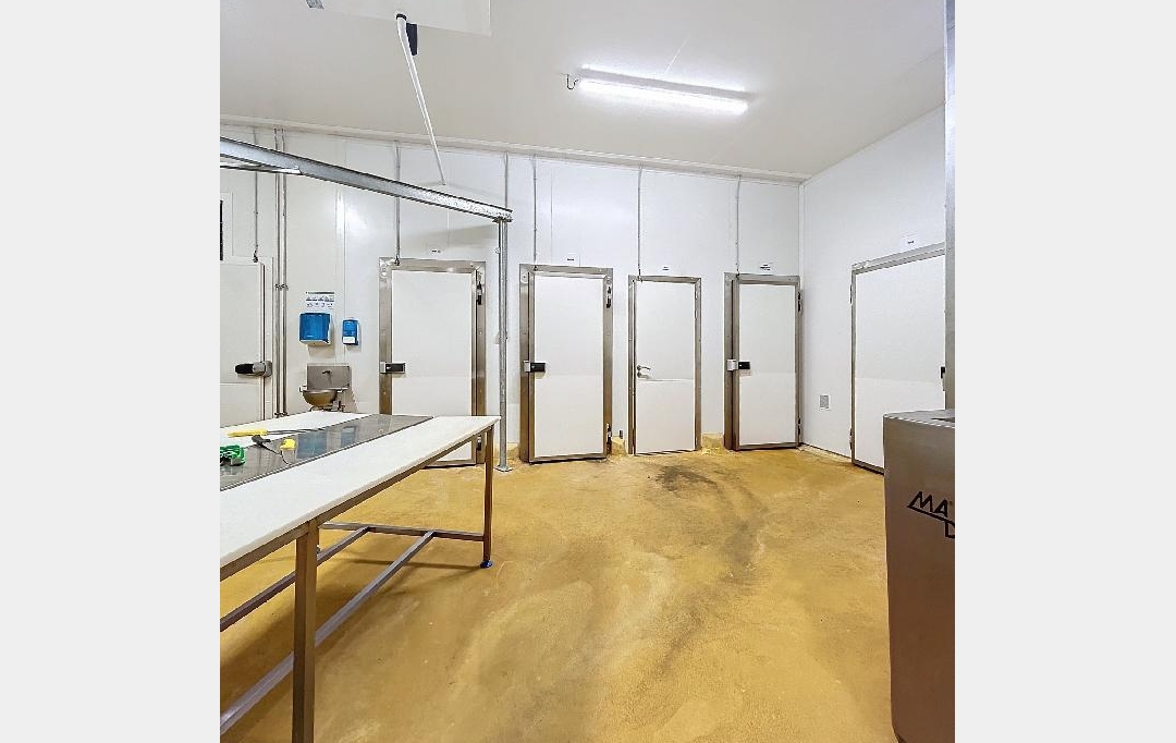 Annonces ROMANS : Local / Bureau | CHABEUIL (26120) | 483 m2 | 760 000 € 
