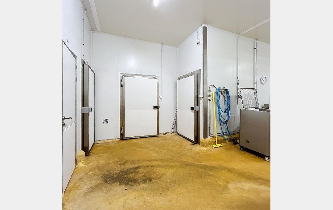 Annonces ROMANS : Local / Bureau | CHABEUIL (26120) | 483 m2 | 760 000 € 