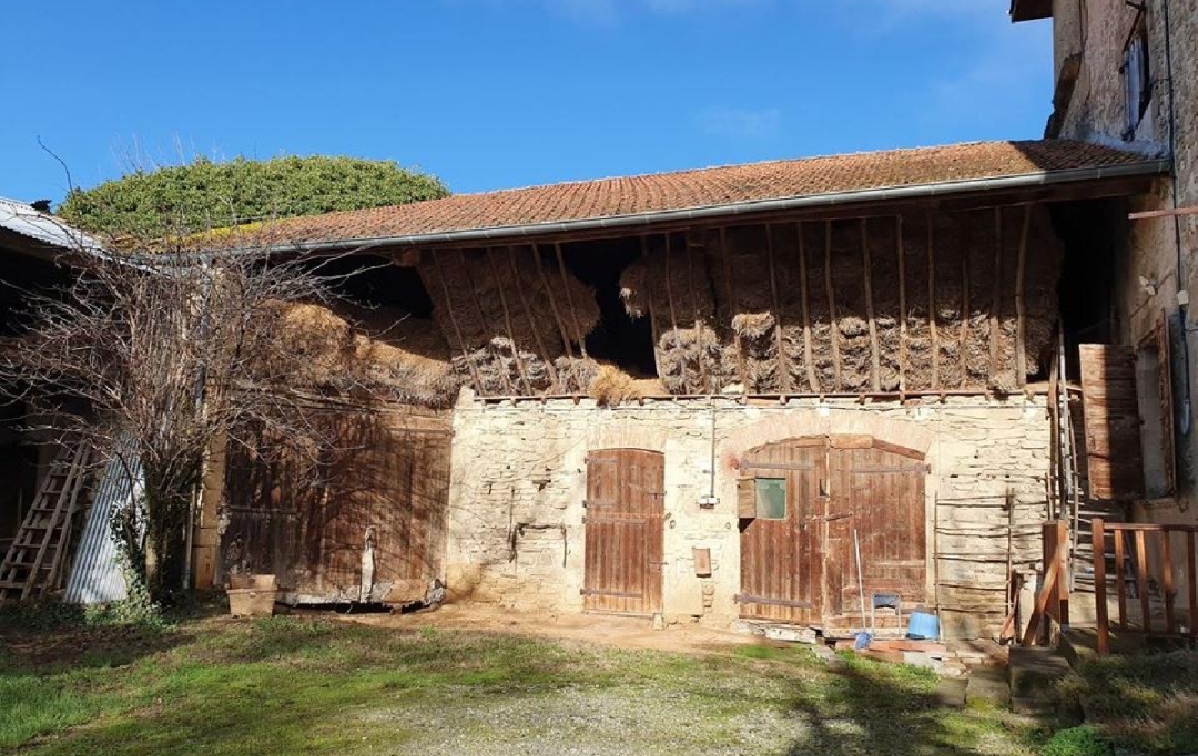 Annonces ROMANS : Maison / Villa | GENISSIEUX (26750) | 188 m2 | 450 000 &euro; 